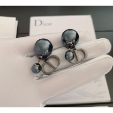 Christian Dior Earrings